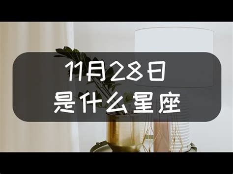 11月22號什麼星座